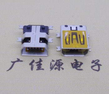中堂镇迷你USB插座,MiNiUSB母座,10P/全贴片带固定柱母头