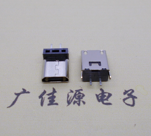 中堂镇micro 2p直插母座无卷边180度铆合式H=9.3、10.0、10.5、11.5mm