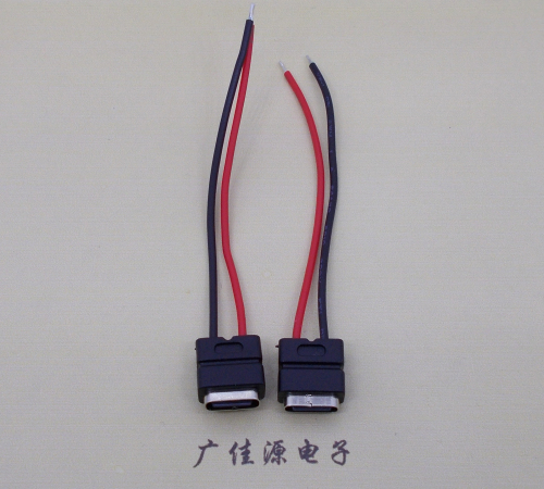 中堂镇type c2p防水母座焊线式带线注塑成型带接线端子/不带接线端子充电连接器