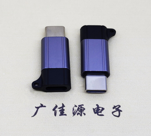 中堂镇Type-C母转Type-C公 USB3.1 PD100W快冲接口